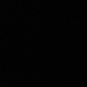 Meet your Posher, Bella